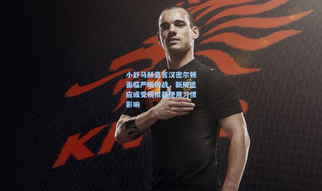 小舒马赫直言汉密尔顿面临严峻挑战，新规适应或受模拟器使用习惯影响