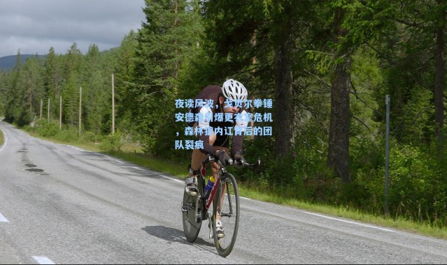 夜读风波，戈贝尔拳锤安德森引爆更衣室危机，森林狼内讧背后的团队裂痕