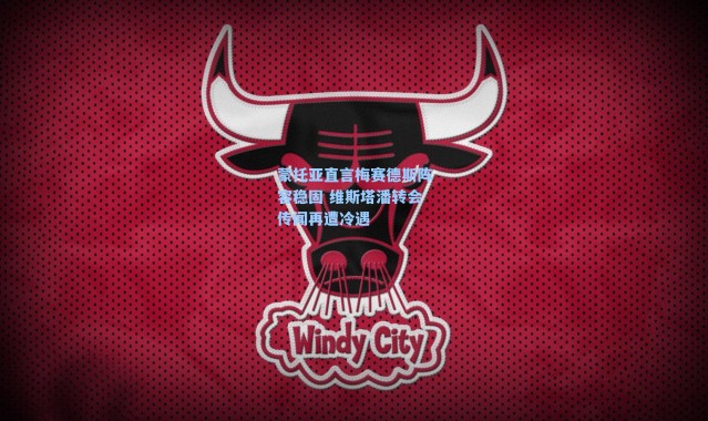 蒙托亚直言梅赛德斯阵容稳固 维斯塔潘转会传闻再遭冷遇