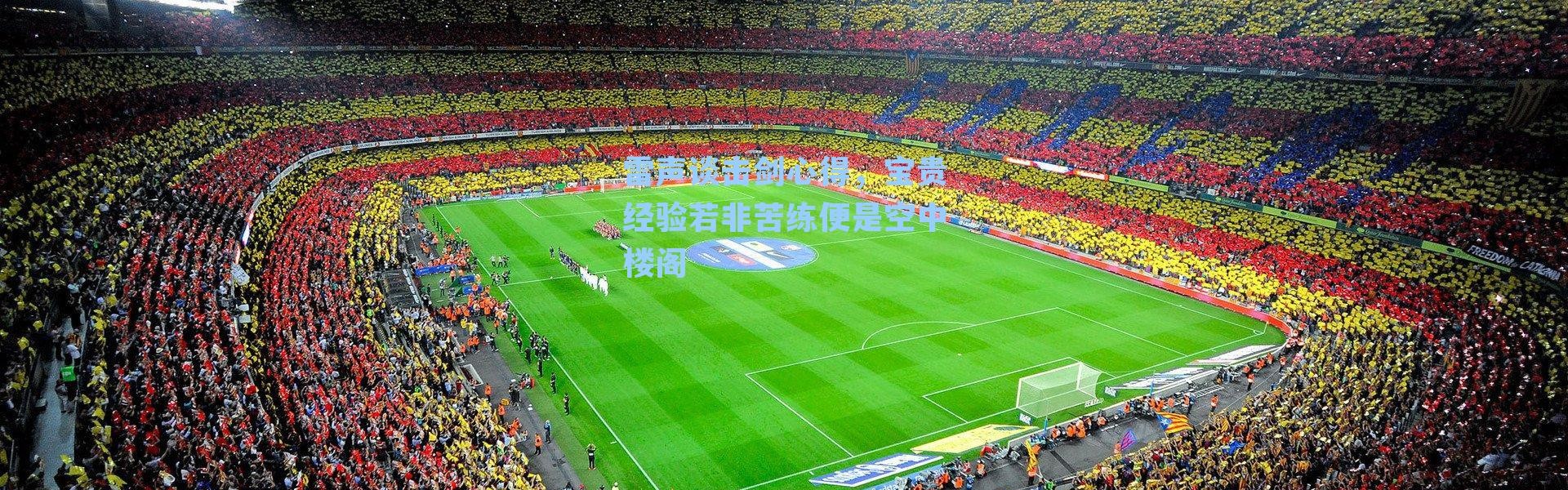 雷声谈击剑心得，宝贵经验若非苦练便是空中楼阁