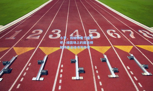 小罗，我给你变个魔术吧—绿茵场上的魔法师如何用足球书写传奇