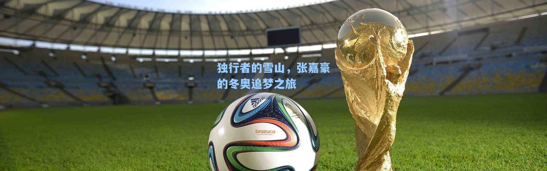 独行者的雪山，张嘉豪的冬奥追梦之旅