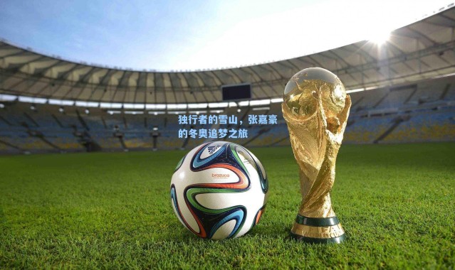 独行者的雪山，张嘉豪的冬奥追梦之旅