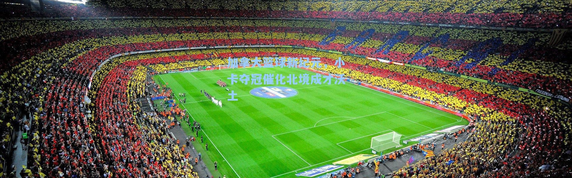 加拿大篮球新纪元，小卡夺冠催化北境成才沃土