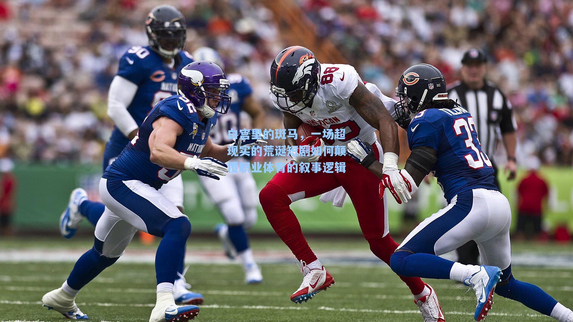 白宫里的斑马,一场超现实的荒诞短剧如何颠覆职业体育的叙事逻辑