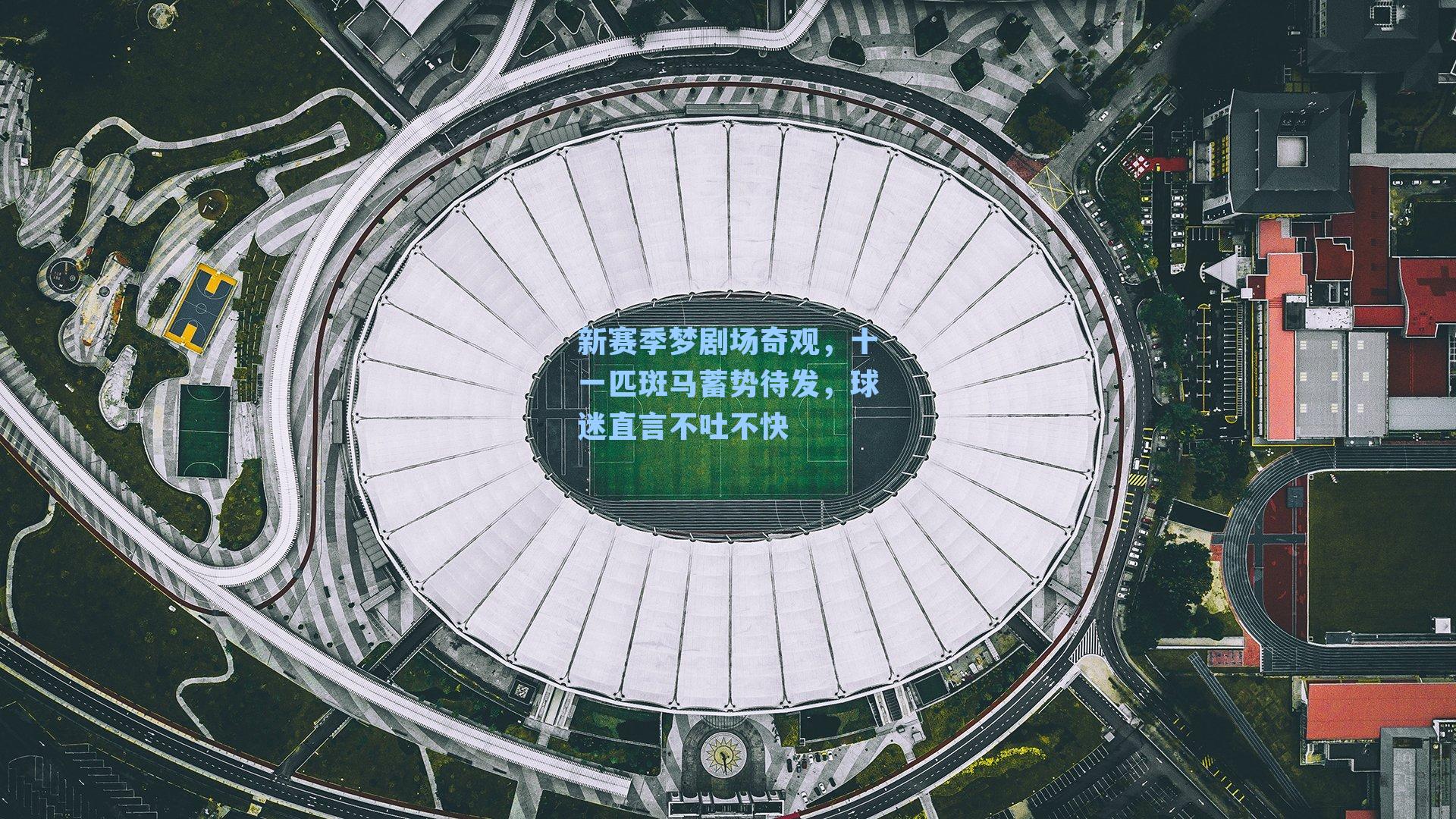 新赛季梦剧场奇观,十一匹斑马蓄势待发,球迷直言不吐不快