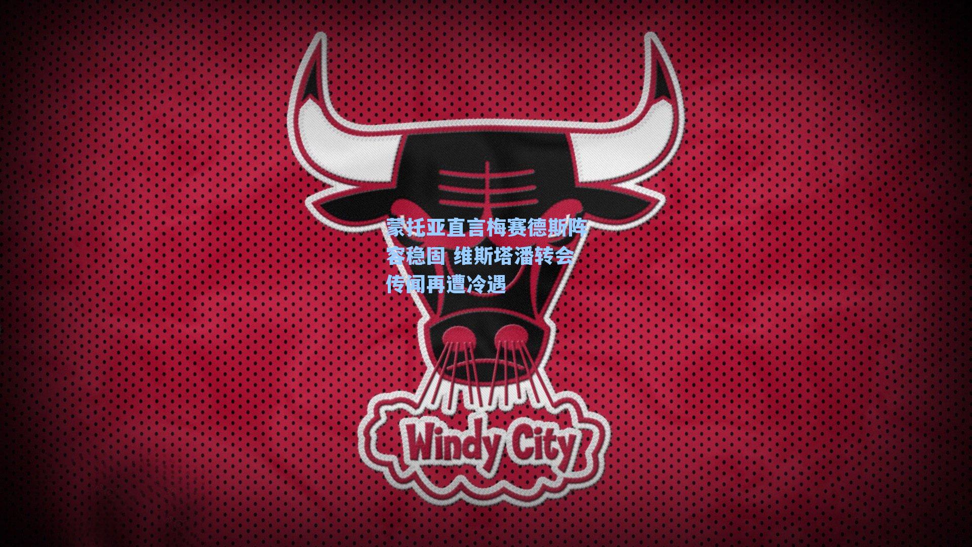 蒙托亚直言梅赛德斯阵容稳固 维斯塔潘转会传闻再遭冷遇